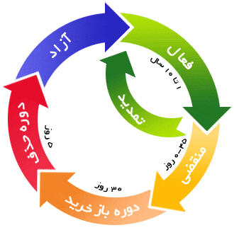 چرخه حیات یک دامنه