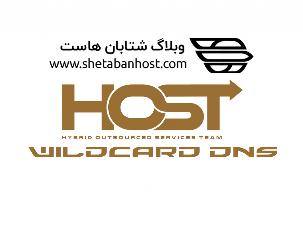 آیا wildcard dns بر روی هاست من فعال است