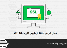 فعال کردن SSL از طریق فایل WP-CLI