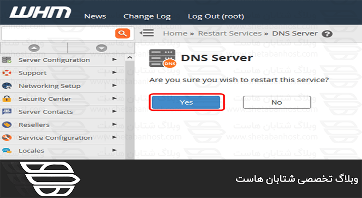 راه اندازی مجدد سرویس DNS از طریق WHM